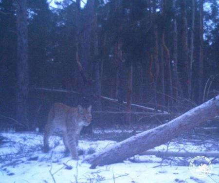 e52e46c5c48892232e6be7789d6ac1aa_1_1