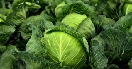 В Україні стрімко дорожчає один з овочів борщового набору