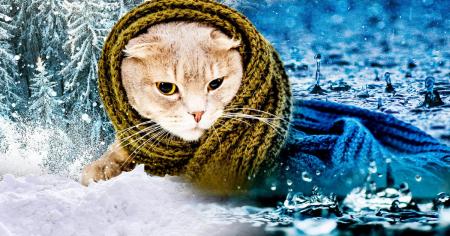 e5d09a0c36159a7dbe79f2a6e03061be_29.12.25