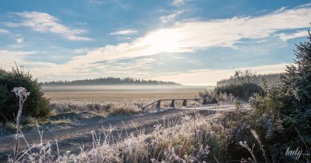 Гороскоп на 29 листопада для всіх знаків зодіаку: день, коли потрібно робити те, що приносить задоволення
