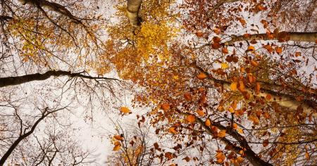 ecf5eb3b11ee82035e658b4e208173c0_28.11.25