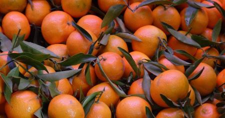 ee3e85e4c9bca75974e528e0e65623e8_01.11.25