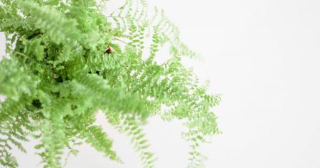 eee462b62f9d0a2b0220be7954beeee1_17.01.26