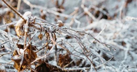 ef7a2de3caaf26ced413b8f67abff78b_07.01.26_1