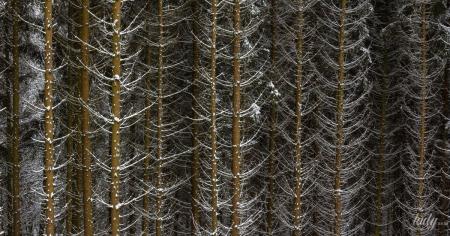 f0df48d7380b46566e41d7aba642a144_04.02.26