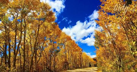 f16c6deb0633016b325ac5b2cc5466cf-13.10.25