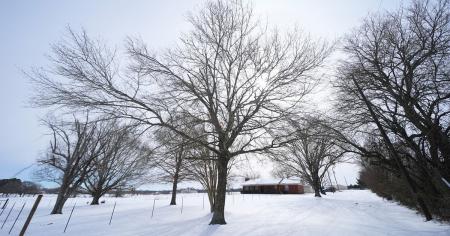 f44a54fd3ab9bf424be4a20d61ac05c4_31.01.26