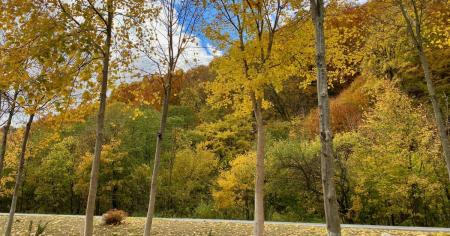 Гороскоп на 21 жовтня для всіх знаків зодіаку: день, коли коли можна починати життя спочатку