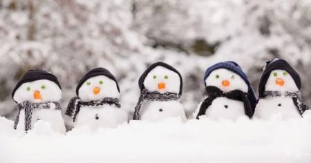 fb16ea4526fad41d75ae6a1dd9b2ef5d_20.12.25_1