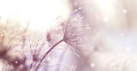 fc0ffe583c2cd415a3ef70ffc033da3f_14.01.26_1