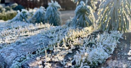 Гороскоп на 24 листопада для всіх знаків зодіаку: день, коли можна закласти основи для кардинальних змін