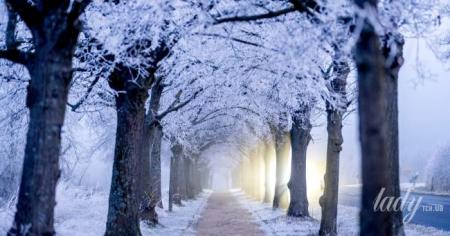 fd169e7764c5ef1adcc10877f72a4a8c_27.01.26_1