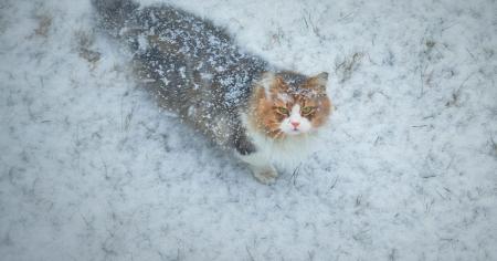 fd63de2485f3fc2bbb361350dc2f4aa9_05.11.25