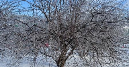 fd7be3f0dcabcab982b7347b5fd8ef40_16.01.26