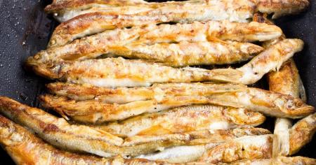 fe5fbd977ff19aae430387b5fb7a2155_24.11.25