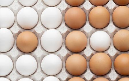 Чим відрізняються білі яйця від коричневих. Розвінчуємо головний міф