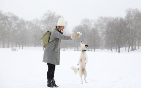 gettyimages_925877182_650x410_25.12.21