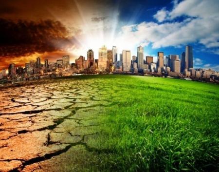 Глобальное потепление вызовет массовый голод 