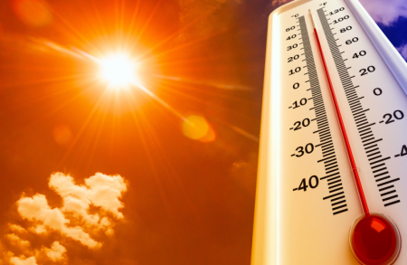 Адская жара берет реванш: какой будет погода в предпоследнюю неделю августа