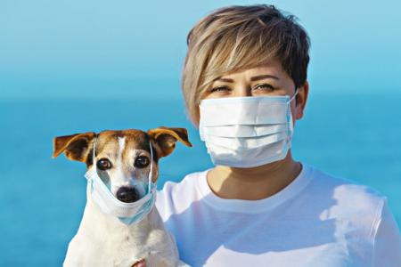 Могут ли собака или кошка принести домой коронавирус: эксперты