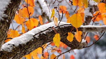 Снег с морозом и почти жара: синоптики прогнозируют экстремальные перепады температур в ноябре
