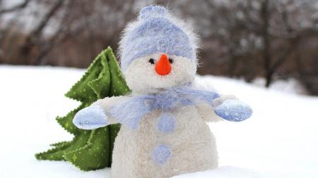 В ближайшие дни в Украину придут морозы до -23 и снег