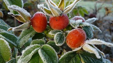 Похолодание, грозы и ночные заморозки: погода до конца недели