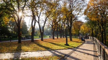 Потеплішає, але ненадовго. Синоптик розповіла, коли прийдуть холоди