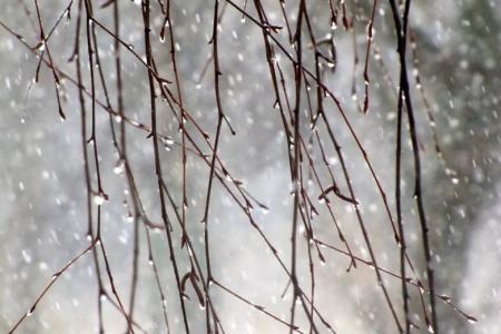 Украину зальют дожди, весны не видно: синоптик Укргидрометцентра уточнил погоду в марте