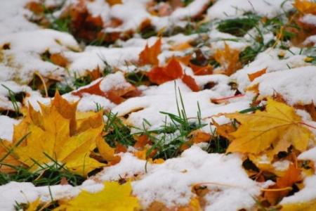 Украине прогнозируют резкое ухудшение погоды – мокрый снег