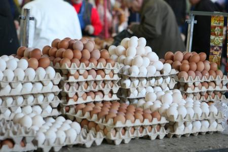 Яйца продают уже по 40 гривен за десяток. Чего ждать от цен?