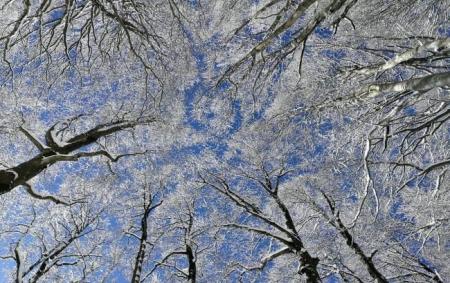 Когда морозы отступят: синоптик назвала дату потепления в Украине