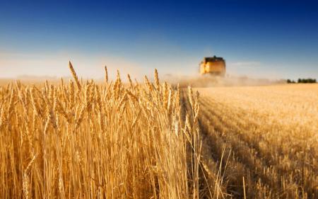 Украина в 2018 году экспортировала агропродукции на $13 млрд 