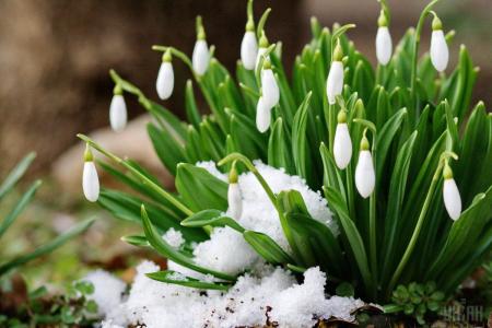 В Украине весна будет ранней, настоящее тепло придет в феврале: озвучен детальный прогноз
