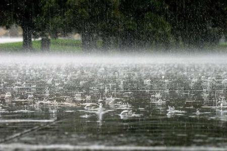 Украину при +24 зальет дождями с грозами: прогноз погоды на начало недели