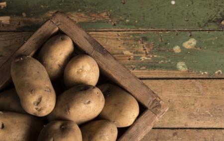 До якого числа треба встигнути посадити картоплю: крайня дата