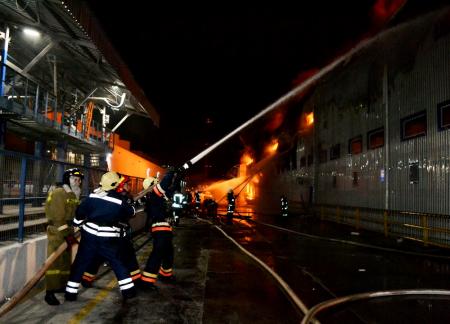 Спасатели ликвидировали масштабный пожар на маслозаводе под Одессой