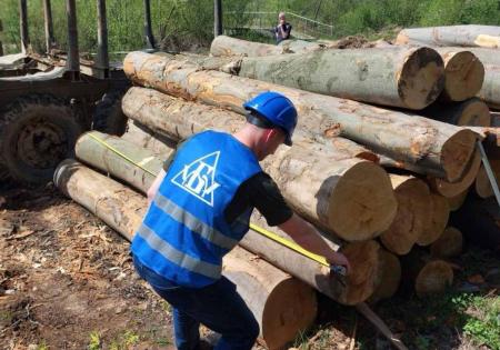 УУБ приділяє постійну увагу виконанню договорів купівлі-продажу необробленої деревини сторонами
