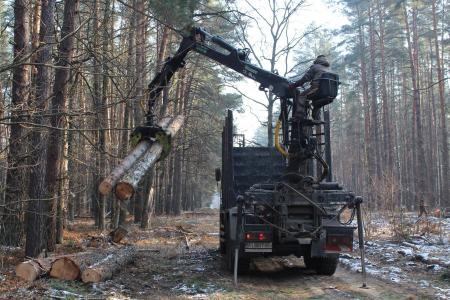 Українська торгова платформа контролює виконання договорів купівлі-продажу деревини