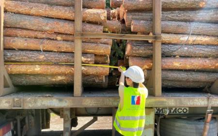 real_78f5cdab-8e09-4e4e-bff1-1a381337d8eb