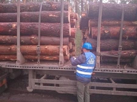 Агенти УУБ забезпечують виконання біржових контрактів з продажу деревини на Львівщині