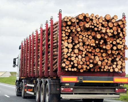 real_a2d2a8ad-9138-4b8a-8489-5f45ff586506