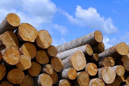 real_e69f9a21-49e5-481a-8a6a-9ce42055ae82