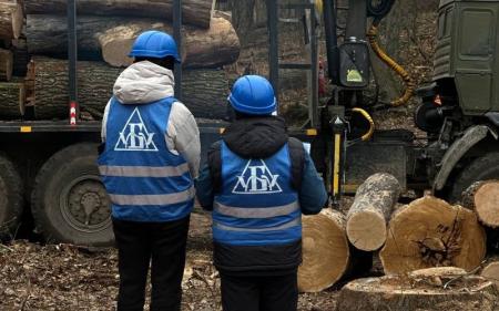 real_ea741eee-e266-4edc-ae0f-1b2b494c0a29