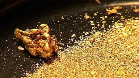 Следователя ФСБ обвиняют в краже 12 кг самородков золота 