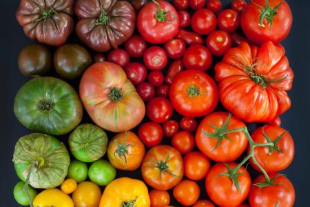 Как употребление помидоров влияет на организм человека