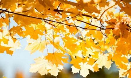 two_column_hTEwrdDN_01.09.21