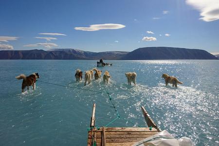 За один день в Гренландии тает 8,5 млрд тонн льда