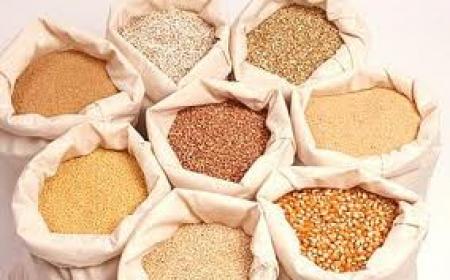 Вводят ограничения на экспорт зерна из Украины