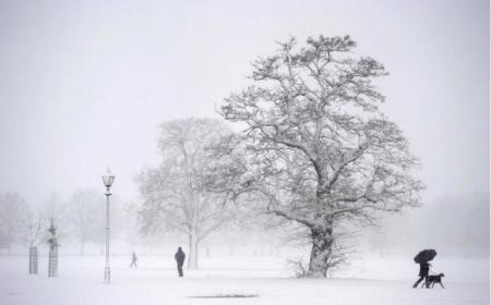 Украине прогнозируют самую холодную зиму за последние 30 лет